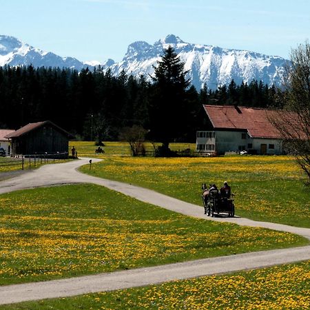 Apartmán Haus Allgaeu Ruh Görisried Pokoj fotografie