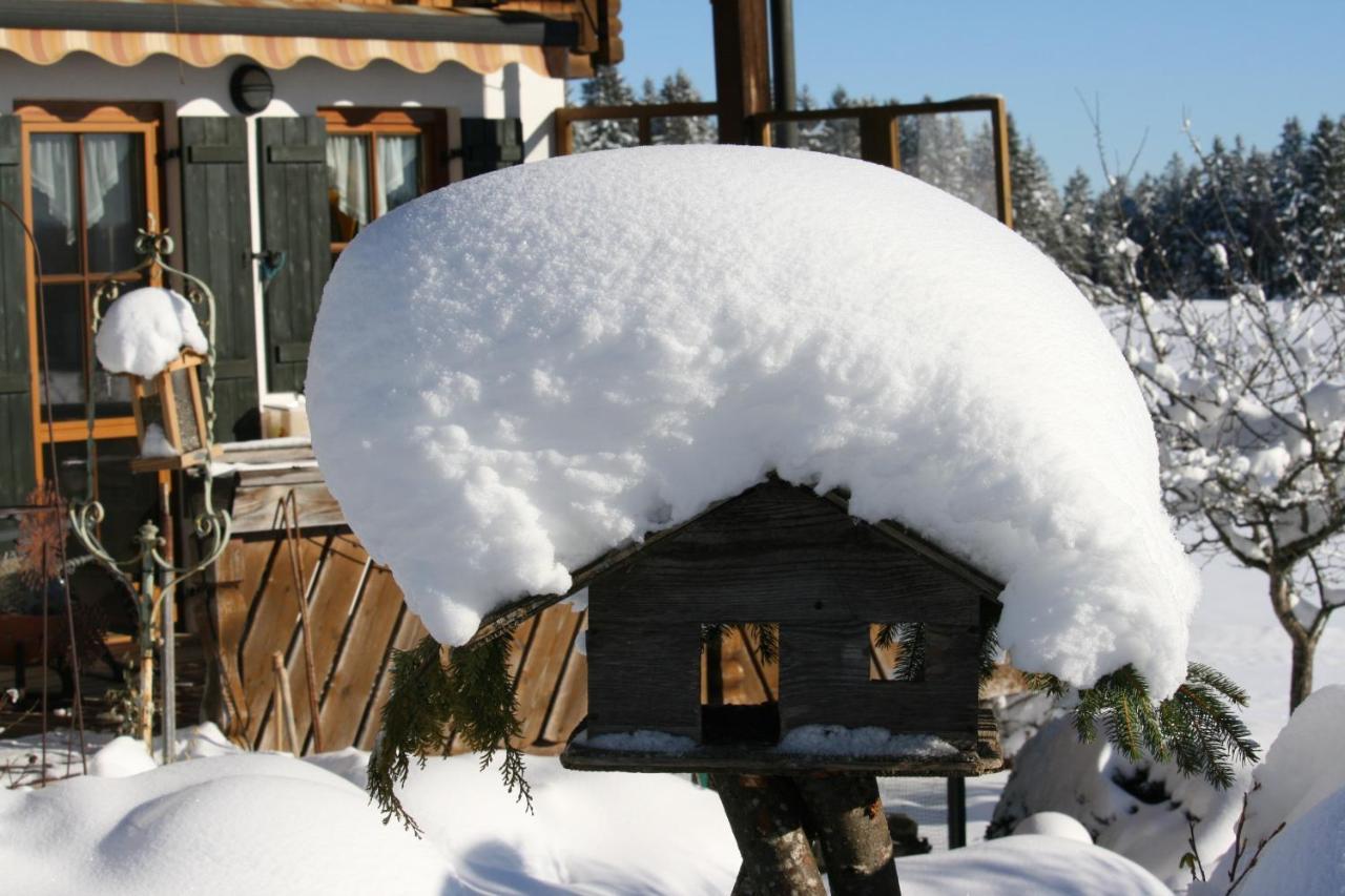 Apartmán Haus Allgaeu Ruh Görisried Exteriér fotografie