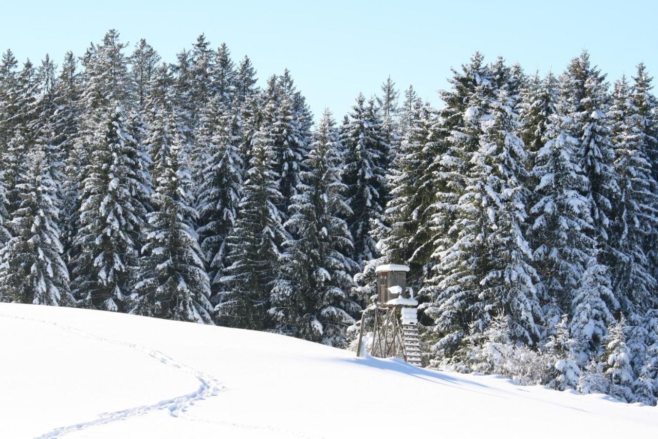 Apartmán Haus Allgaeu Ruh Görisried Exteriér fotografie