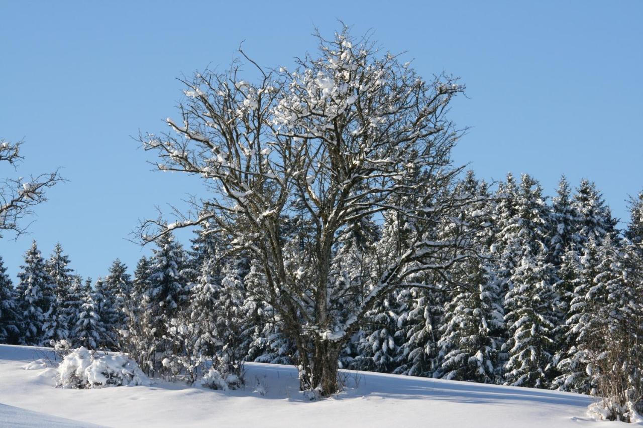 Apartmán Haus Allgaeu Ruh Görisried Exteriér fotografie