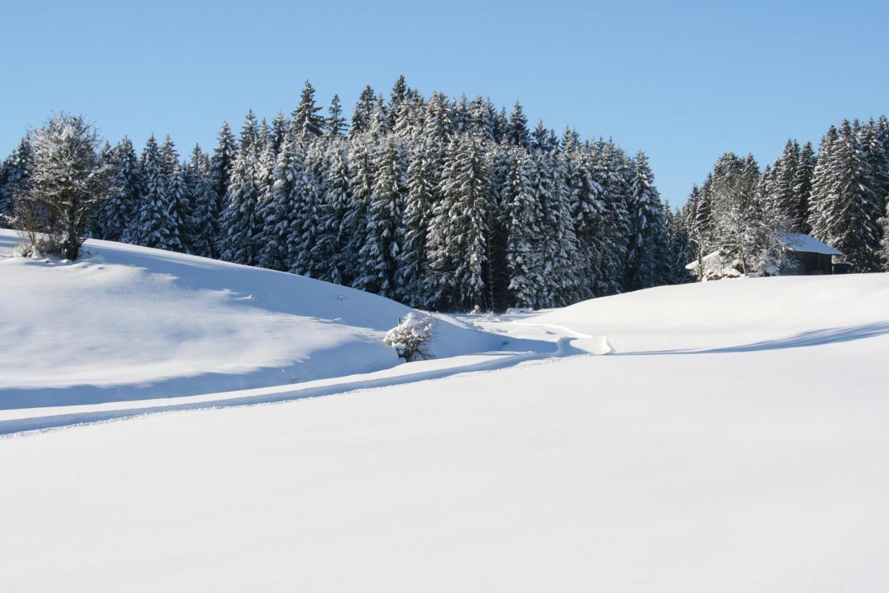 Apartmán Haus Allgaeu Ruh Görisried Exteriér fotografie