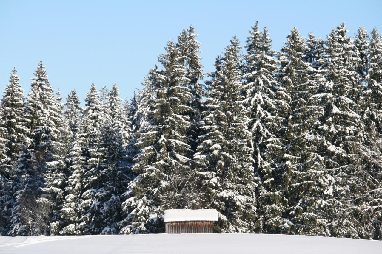 Apartmán Haus Allgaeu Ruh Görisried Exteriér fotografie